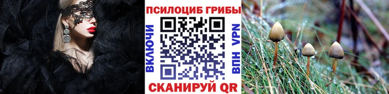 Галлюциногенные грибы MAGIC MUSHROOMS  где продают наркотики  Фатеж 